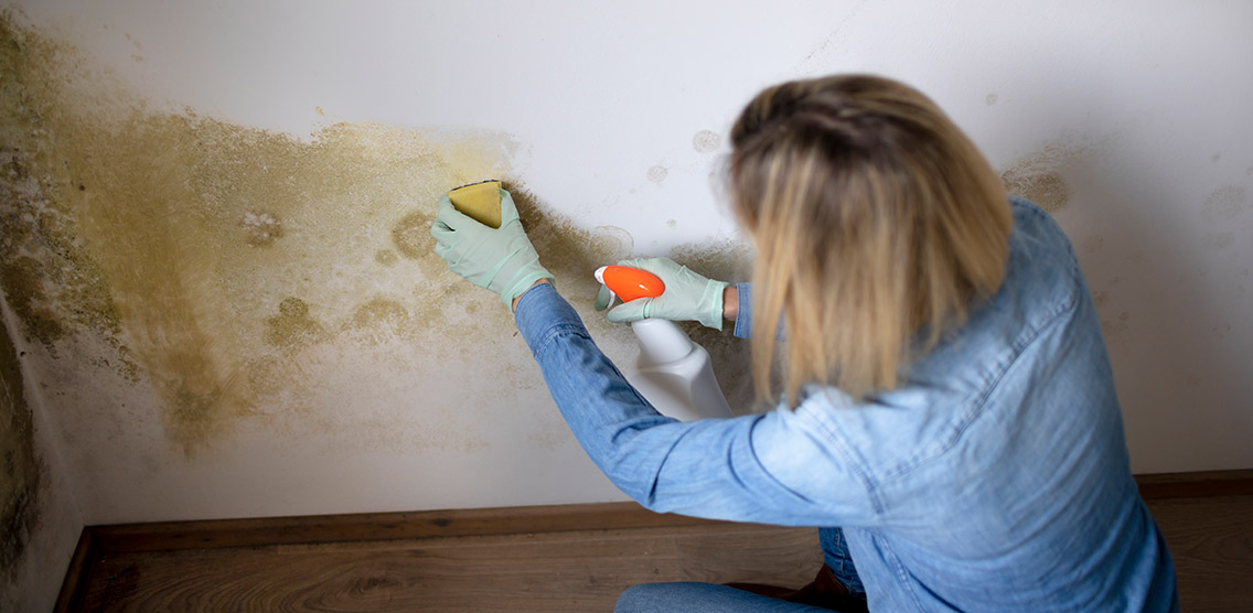 How to Get Rid of Mildew Smell - Tips and Common Mistakes