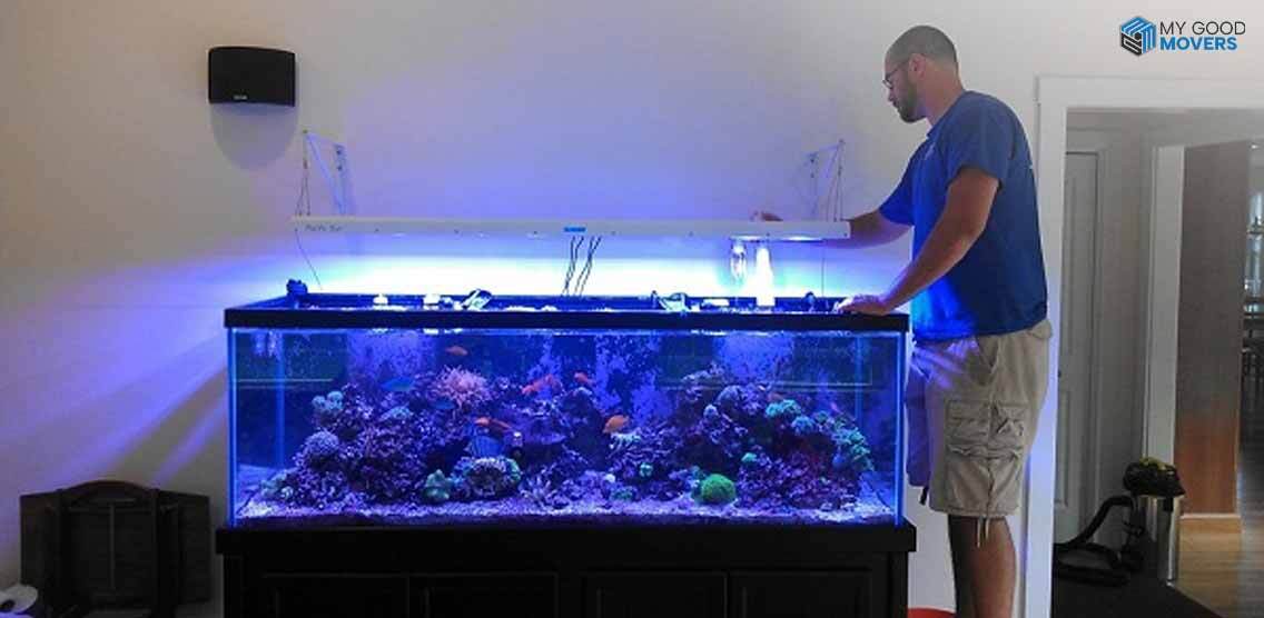 how-to-move-an-aquarium